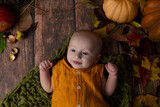 Fototapeta Do akwarium - the child lies in the autumn decor. newborn boy. baby's first photo shoot