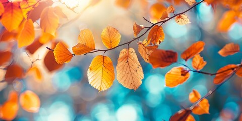 Sticker - vibrant autumn concept