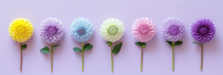 Poster - A row of vibrant and diverse flowers, including roses, daisies, and tulips, set against a striking purple backdrop
