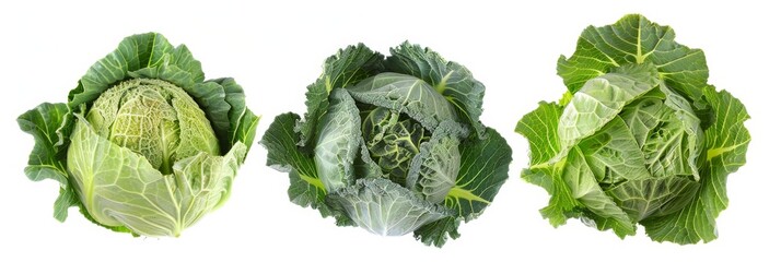 Wall Mural - cabbage isolated on white background