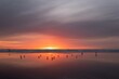 © aquamarine4 - Sunset on the beach with water birds. Glowing sky over the ocean and reflection in wet sand. Long beach. Washington. USA