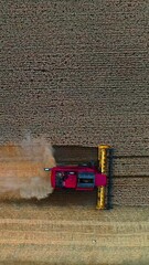 Wall Mural - Aerial view on the combine working on the large wheat field. Grain harvesting equipment in the field. Vertical video