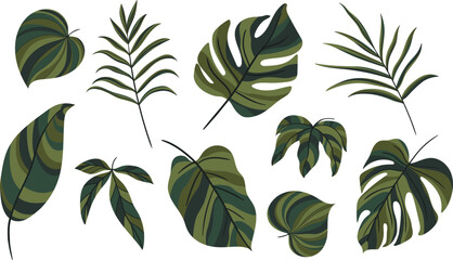 Leaves isolated on white collection. Tropical leaves set. Hand drawn abstract illustration.