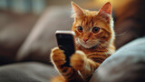 Fototapeta  - A cat holding a smartphone while looking at the camera. Smart, cute cat uses phone to surf the internet.