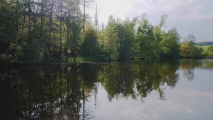 Wall Mural - Lake and green forest trees. Forest reflection in the water. Magical atmosphere.