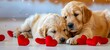 © VISUAL BACKGROUND - Two puppies laying down with hearts around them.