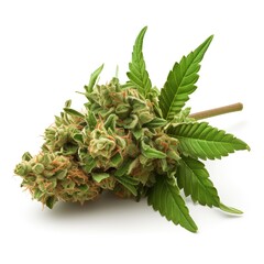 Poster - Cannabis Flower Closeup Hemp Terpens Nugget Organic Herb Organically Grown Herbal Medicine Medicinal Drug Isolated White Background THC CBD THCa THCb Indica Sativa Dispensary Plant Bud