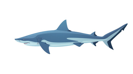 Sticker - shark isolated on white transparent background