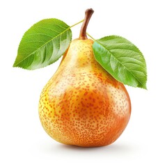 Wall Mural - pear with leaves, realistic and colorful, isolated on white background
