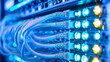 © YOGI C - close - up of data center with rows of network switches, including a blue light