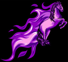 Wall Mural - Beautiful black fiery horse isolated on black background