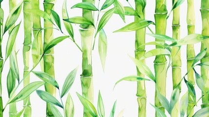 Wall Mural - Watercolor painting depicting bamboo trees on a white background