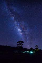 Wall Mural - landscape with milky way, night sky with stars and silhouette of tree