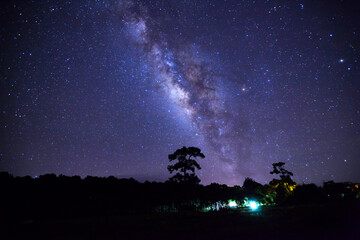 Wall Mural - landscape with milky way, night sky with stars and silhouette of tree
