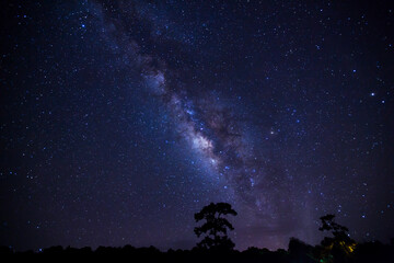 Wall Mural - landscape with milky way, night sky with stars and silhouette of tree