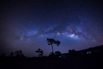 Wall Mural - landscape with milky way, night sky with stars and silhouette of tree