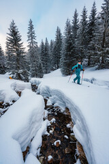 Wall Mural - Mountaineer backcountry ski walking ski alpinist in the mountains. Ski touring in alpine landscape with snowy trees. Adventure winter sport. Low Tatras, slovakia