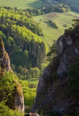 Poster - Spring green mountain landscape with unique rock towers. View of a green valley with forests and rocks. The Sulov Rocks, national nature reserve in northwest of Slovakia, Europe.