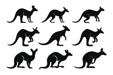 Set Of Kangaroo Silhouette Design And Vector Illustration On White Background