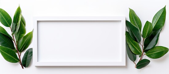 Poster - A copy space image of a white wooden photo frame with plant leaves resting on a pure white backdrop