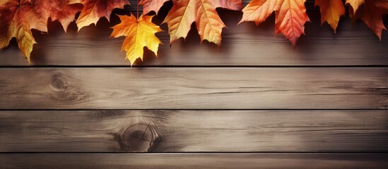 Poster - Thanksgiving themed copy space image showcasing autumn leaves against a wooden wallpaper background