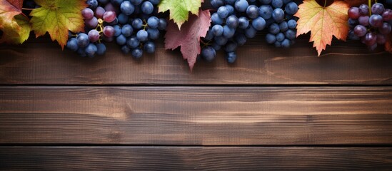 Poster - A top down view of blue grapes and vibrant grape leaves on weathered wooden table creating a captivating background for copy space image