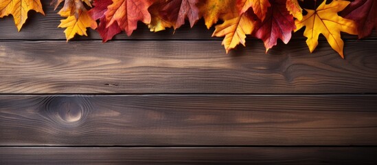 Poster - Thanksgiving themed copy space image showcasing autumn leaves against a wooden wallpaper background
