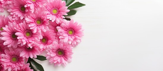 Leinwandbilder - A top down view of a pink chrysanthemum bouquet placed on a white surface leaving room for text in the background Flat lay style. Creative banner. Copyspace image