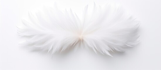 Aufkleber - A top down view of a white feather flower on a white background perfect for a flat lay photograph. Creative banner. Copyspace image