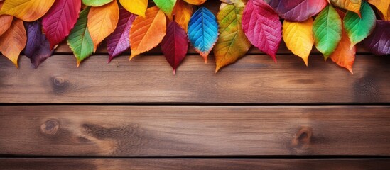 Aufkleber - A rustic wooden background adorned with vibrant leaves offering a generous expanse of copy space for text