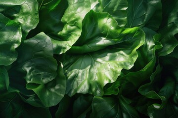 Aufkleber - Close up of a green leafy plant, suitable for nature backgrounds