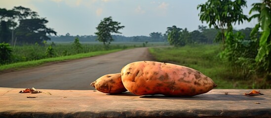 Poster - A copy space image of a sweet potato is displayed on a table for sale by the roadside