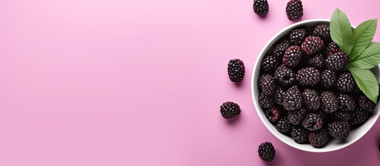 Poster - Top view image of a ceramic bowl with blackberry and mint leaves on a pink background offering ample copy space