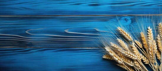 Aufkleber - Flat lay on a blue wooden table with ears of wheat creating a copy space image for text