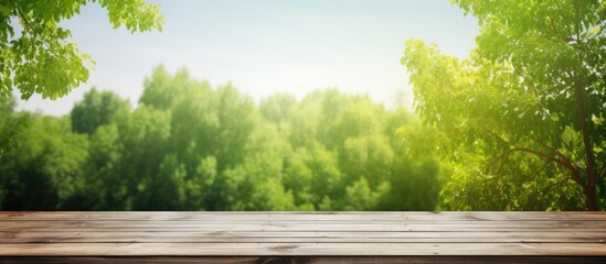 Poster - Bright sunny day with a natural background of green wood providing ample copy space for text and a picturesque summer landscape