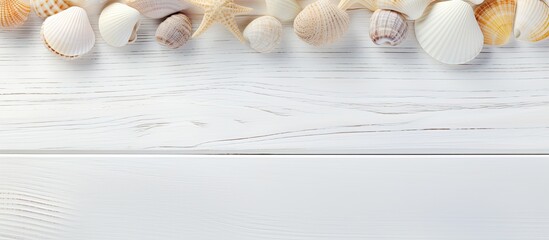 Sticker - Close up copy space image of sea shells on white wooden planks representing the concept of summer vacation