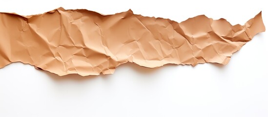 Poster - Closeup view of a torn piece of cardboard isolated on a white background presenting a copy space image for text