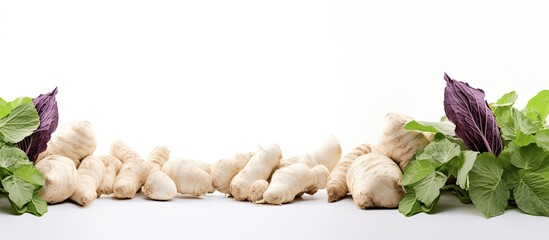 Poster - White background with Taro creating copy space image