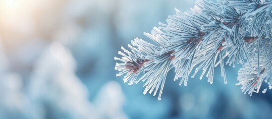 Wall Mural - A picturesque winter scene of a pine tree branch covered in snow and hoarfrost captured in a copy space image