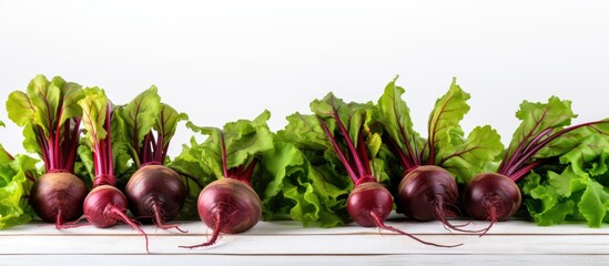 Poster - Beetroot plants arranged on a white wooden table with ample empty space around them for a copy space image