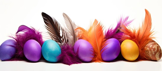 Poster - Studio photo of decorative colored eggs and feathers against a white background providing ample copy space for creative purposes