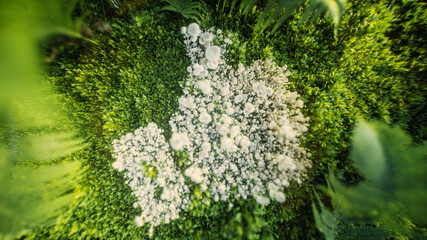 Wall Mural - 3D rendering of a 'like' symbol made of white mushrooms on green moss and ferns, representing nature's harmony and positivity.