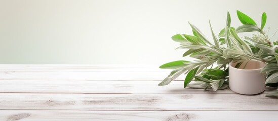 Aufkleber - Copy space image of a white wooden table adorned with green leaves and a cup of sage tea perfect for adding text