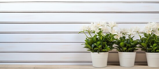 Aufkleber - White wood with potted plants provides a charming copy space image