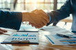 © Papisut - Businessmen making handshake with partner greeting