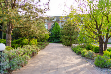  A path in the park between the trees. Landscaping for homes and hotels.