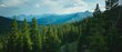 © grape_vein - Panoramic Mountain Landscape with Forest