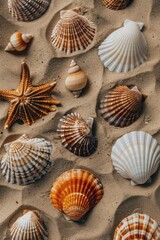 Poster - Close up of shells on a sandy beach. Ideal for travel blogs