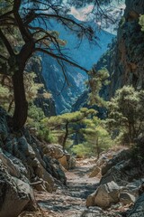 Poster - A scenic view of a dirt road surrounded by rocks and trees. Perfect for nature or outdoor themed projects