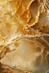Poster - Detailed view of a spider web, suitable for nature or Halloween themes